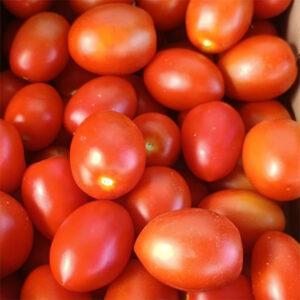 Tomate Ecológico 1 Kg.