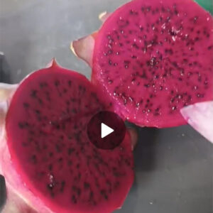 Pitaya Ecológica 1 Kg.